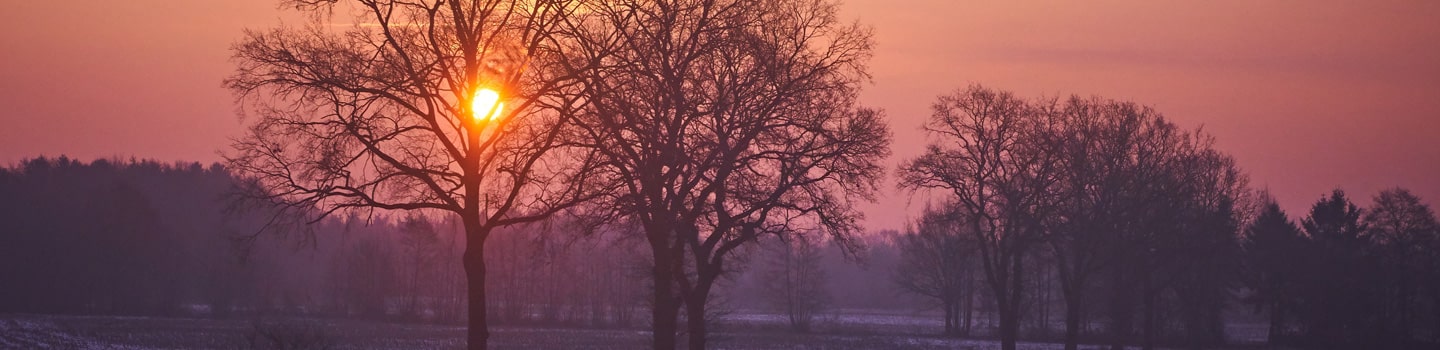 Rabbit Hole Coaching en Training